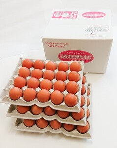 卵 ふるさと地たまご 60個（M・Lサイズ）卵 赤たまご 10個破損補償含む