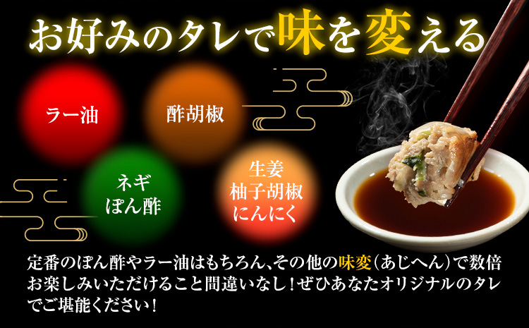 餃子 冷凍 博多和牛 手作り 80個 20個 × 4パック 清柳食産《30日以内に出荷予定(土日祝除く)》九州産---skr_fsrtdkrgz_30d_23_13200_80i---