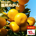 【ふるさと納税】 森田さん家の温州みかん 10kg /フルーツ みかん ミカン 柑橘 期間限定 東彼杵町[BBJ001]