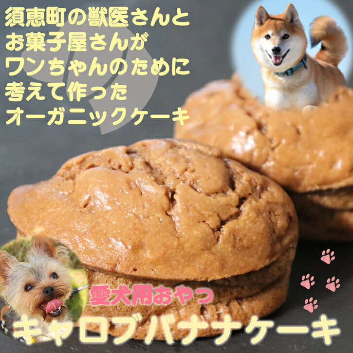 【ふるさと納税】犬用ケーキ キャロブ バナナ ケーキ 10個 チョコ風味 | 獣医さんとお菓子屋さんが作った オーガニックケーキ 犬 おやつ 愛犬用 スイーツ 誕生日 お祝い バースデー ご褒美 ペット フード いぬ 冷凍 健康 安心 安全 お取り寄せ 福岡県 須恵町