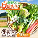 【ふるさと納税】【11月中旬から順次発送】 冬 野菜 おまかせ便 10種 寒い冬の温かな 料理 に！かとう旬菜畑 から 直送 野菜 冬野菜 旬 鍋 料理 \レビューキャンペーン中/愛媛県大洲市/かとう旬菜畑[AGCW001] 14000円 14000 一万四千 一万四千円