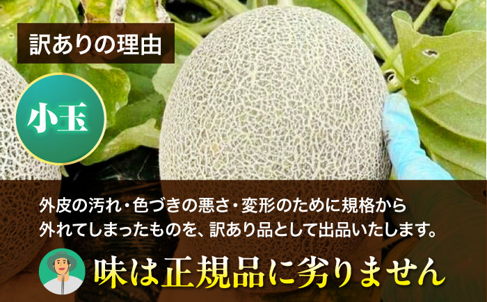 【先行予約】【2026年6月下旬から順次発送】 訳あり 小玉メロン（タカミ） SSサイズ 5玉入り（1.3kg〜1.5kg/玉） 愛媛県大洲市/にのみや農園 めろん 貴味 果物 フルーツ くだもの 青