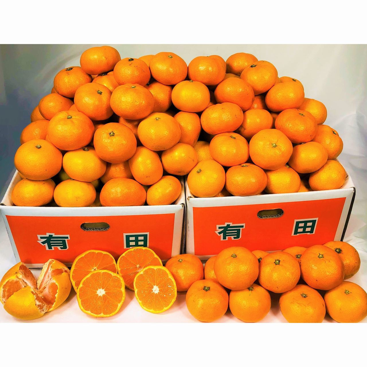有田みかん 10kg (約89個～95個) DJ035_イメージ2