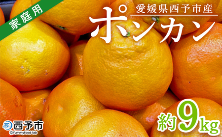 ＜愛媛県西予市産 ポンカン 約9kg 家庭用＞ 訳あり ワケアリ 果物 くだもの ミカン 蜜柑 柑橘 ぽんかん おいしい フルーツ サイズ不揃い ご自宅用 果実 果肉 ジューシー 特産品 段畑みかん 愛媛県 西予市【常温】『2026年1月中旬～2月上旬迄に順次出荷予定』ADM0008