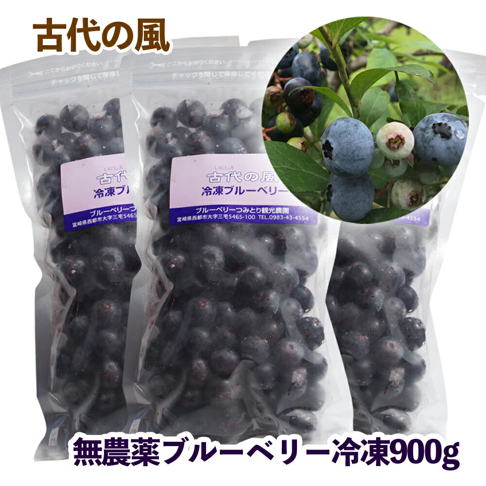 【ふるさと納税】ブルーベリー冷凍900g（300g×3パック）「先行予約」西都市『古代の風』収穫 国産 手摘み 先行予約 楽天限定