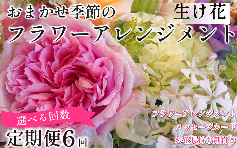 定期便 6回 ブーケ フラワーアレンジメント 手作りカード付き ギフト 花 クリスマス 母の日 父の日 敬老の日 ※北海道・東北・沖縄を含む離島への配送不可