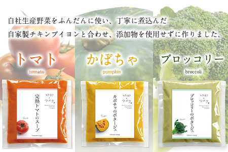【3ヶ月定期便】ひだまりとアンダンテセット 全3回《お申込みの翌月より出荷》福岡県 花田農園 野菜スープ トマト ブロッコリー かぼちゃ