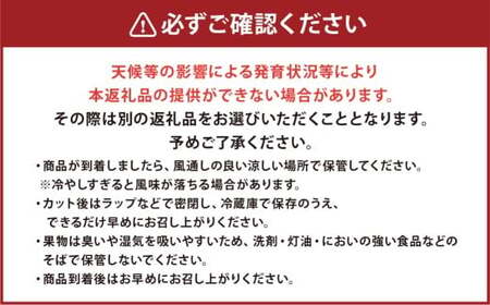 熊本市産 肥後グリーンメロン1玉４L以上 約2kg 【2026年4月下旬～2026年７月下旬発送予定】メロン 青肉 甘いフルーツ プレゼント 贈答 贈り物 果物 熊本県 