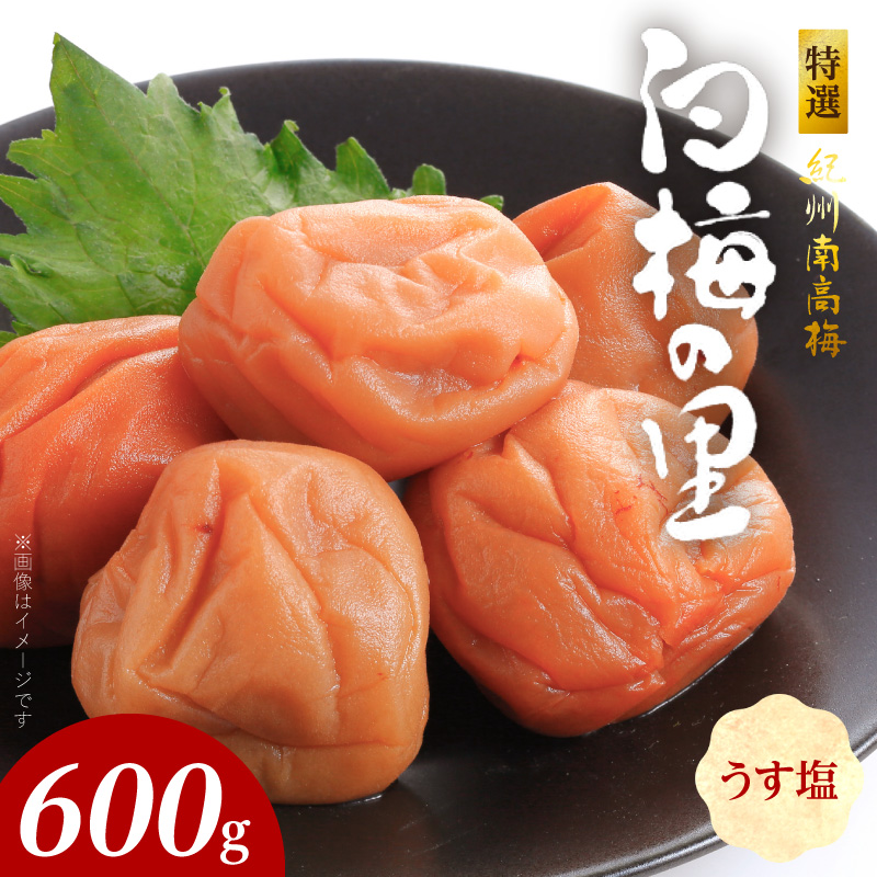 SF2004_特選紀州南高梅「白梅の里」うす塩味　600ｇ