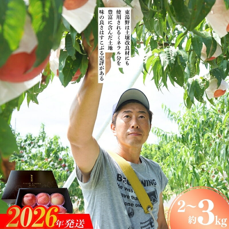 【ふるさと納税】果樹園きつない 特選福島・東湯野のもも 約2kg 約3kg【2026年発送 先行予約】