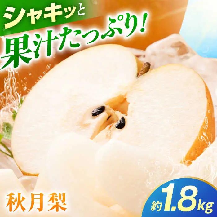 【先行予約】秋月梨　約1.8kg 梨 ナシ フルーツ 果物 【日本フルーツ株式会社】[ZFJ061]