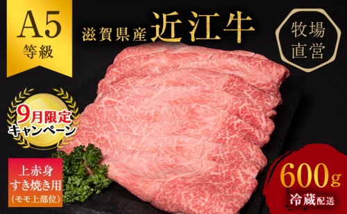 【9月末までの限定価格】近江牛 すき焼き 上赤身 約600g A5 雌牛 西川畜産 牛肉 黒毛和牛 すきやき すき焼き肉 すき焼き用 肉 お肉 牛 和牛 ブランド牛 cp2509