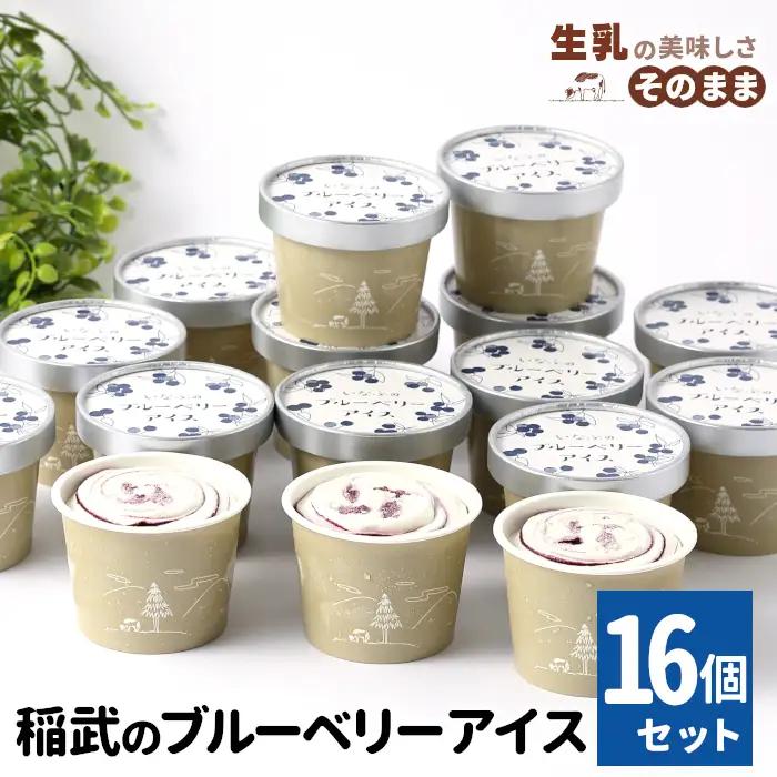2026年7月1日～寄付金額変更★〈スピード発送〉農薬！除草剤不使用！ブルーベリー アイス16個入り アイスクリーム ブルーベリー 