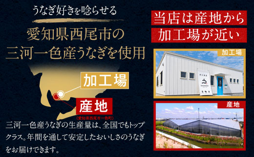 【期間限定】三河一色産うなぎ蒲焼大3尾(計420g以上)・R006-22