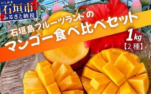 産地直送！石垣島産 マンゴー 食べ比べセット 約1kg (2種)  (2025年6月中旬～8月下旬発送)