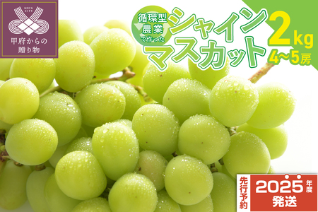【2025年配送分】甲府市産自然塾のシャインマスカット2kg(4～5房)