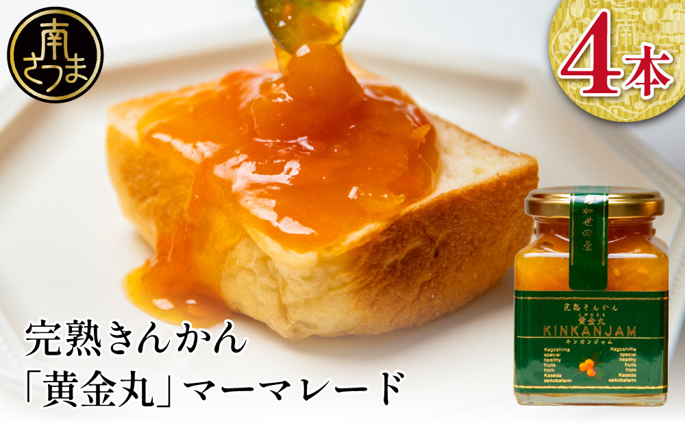 
            完熟きんかん「黄金丸」マーマレード 4本セット 金柑 ジャム 柑橘 果物 パンやヨーグルトに フルーツ 朝食 清木場果樹園 瓶入り プレゼント ギフト 贈答用 贈り物 手土産 南さつま市
          