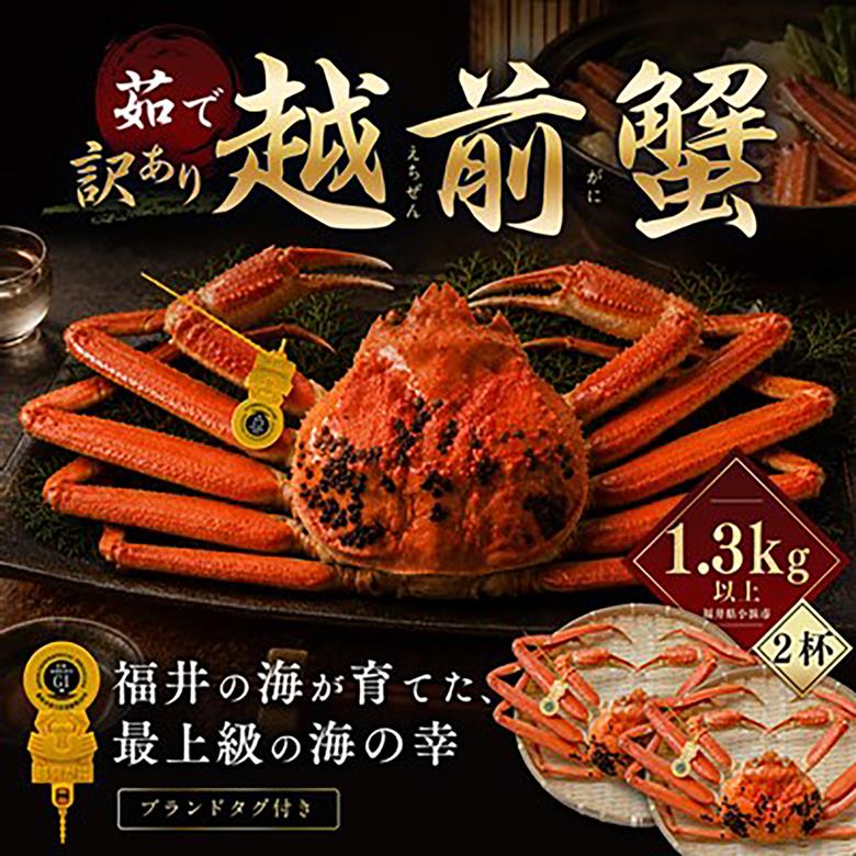 【先行予約/11月18日より順次配送】【訳あり】越前がに 1.3kg×2杯 茹で 福井県産ズワイガニ 脚折れ・欠け / かに カニ 蟹 越前ガニ ズワイガニ ボイル / 小浜市 / 一進わかさ【配送不
