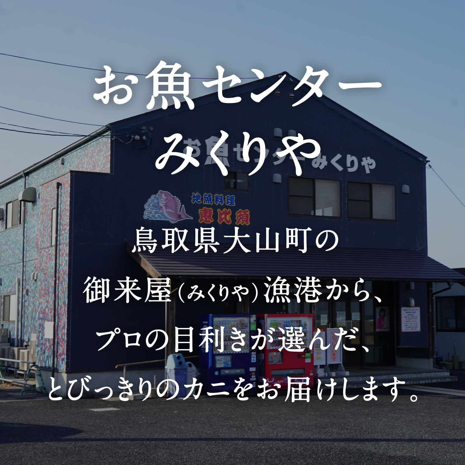 
            訳あり足1本折れボイル松葉ガニ（600g～700gを1枚）OM-31 わけあり 松葉ガニ 松葉がに かに 蟹 カニ 鳥取県境港 御来屋漁港 みくりや漁港 鳥取県日南町
          