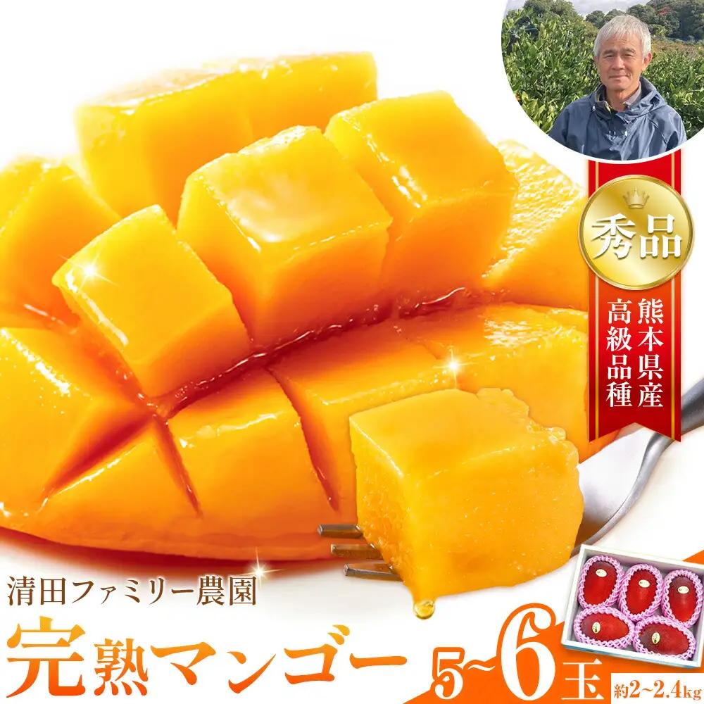 マンゴー 秀品 清田ファミリー農園 5～6玉 |マンゴー