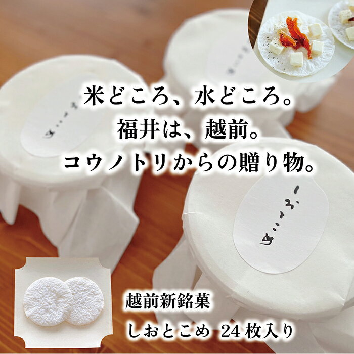 【ふるさと納税】越前新銘菓 しおとこめ　24枚入り　/ 送料無料 福井 越前市 こしひかり コシヒカリ お菓子 米菓 薄味 子供用 お土産 贈り物(18209)