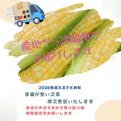 【2026年度先行受付】愛知県みよし市産  朝採り「夢コーン。」Lサイズ10本セット　数量限定【配送不可地域：離島・沖縄県】