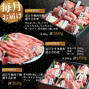 近江牛 食べ比べ 定期便 6ヶ月 焼肉 すき焼き 盛り合わせ 冷凍 シャトーブリアン ( 近江牛 サーロイン フィレ ヘレ 肩ロース 希少部位 ミスジ クラシタ イチボ ヒウチ ササバラ ラムシン 等