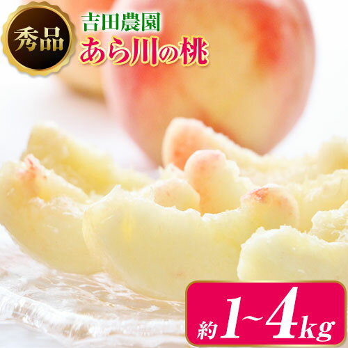 【ふるさと納税】あら川の桃 選べる 約1kg 約2kg 約3kg 約4kg 秀品 吉田農園《2026月年6月下旬-8月中旬頃出荷》 和歌山県 紀の川市 桃 もも モモ 白鳳 清水白桃 川中島白桃 あら川の桃 送料無料