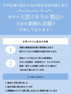 S059-006A_いつでも刺身 5魚種 5枚＆鮮魚一夜干し 3枚 デラックス  / 刺身 お刺身 刺し身 鮮魚 干物