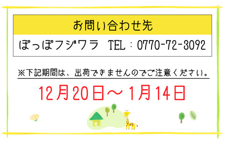 『ぽっぽロール』ハーフサイズ 食べ比べセット【バニラ ＆ 抹茶】第23回 全国菓子博覧会内閣総理大臣賞受賞   ※発送前に受取日の確認電話をいたします