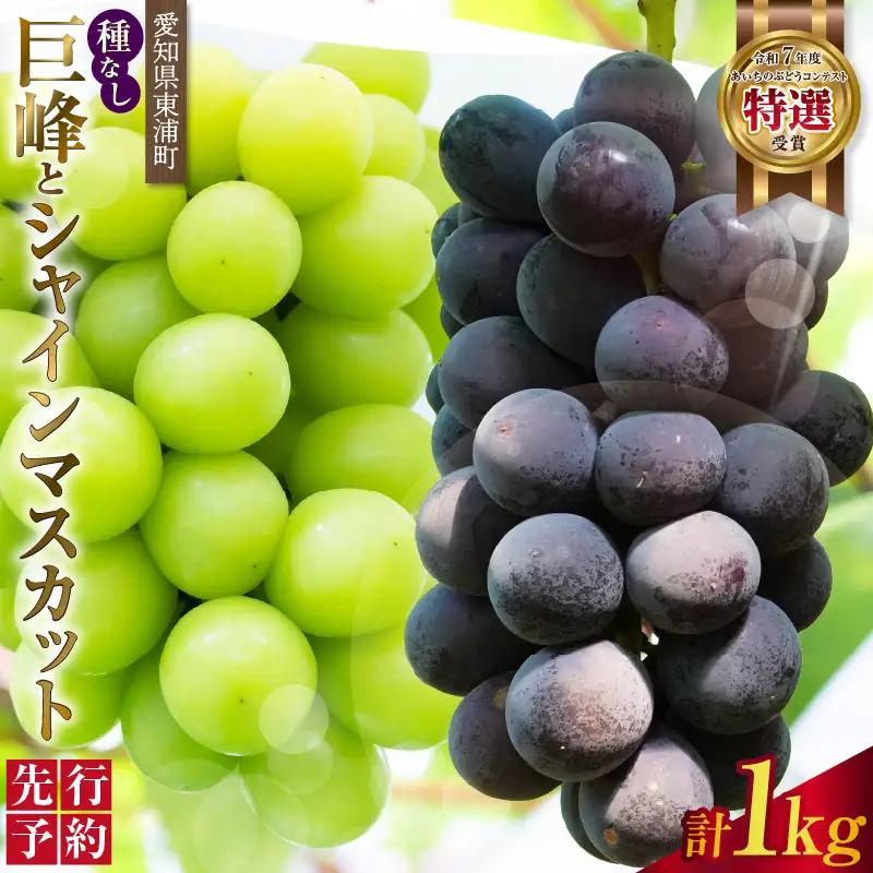 東浦町産 種なし巨峰とシャインマスカット(約1kg)|シャインマスカット ぶどう フルーツ