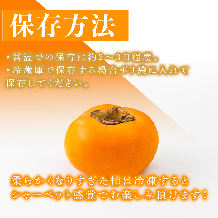 ＜先行予約受付中！2026年10月下旬～11月下旬に順次発送予定＞秋のフルーツの王様・ブランド柿 秋王 化粧箱入り (約計1.75kg・6個入り) かき カキ フルーツ 果物 くだもの 福岡限定 オリ