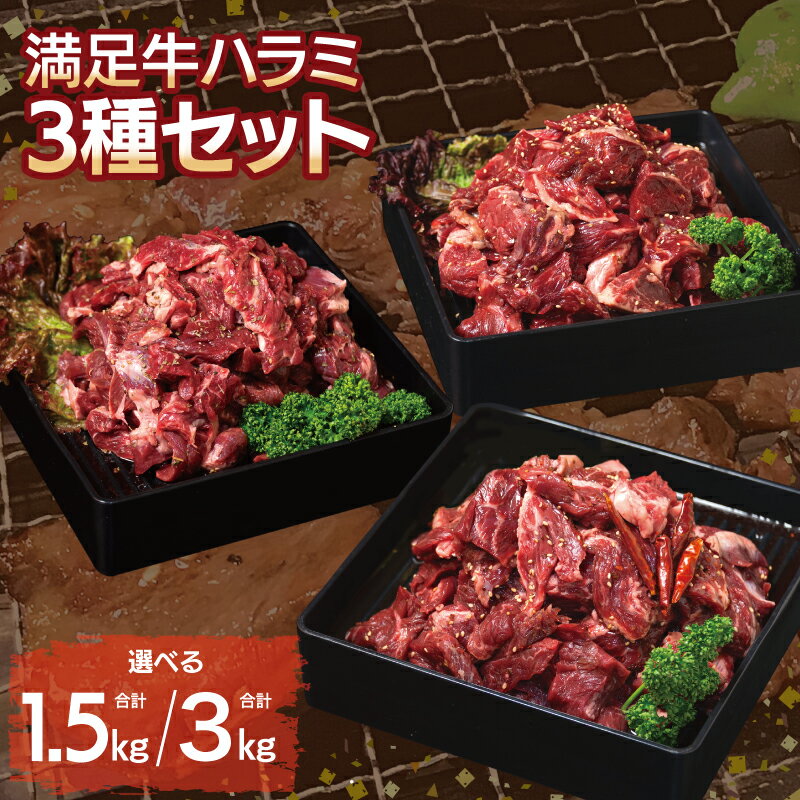 【ふるさと納税】満足 牛ハラミ 3種 セット 甘辛タレ 中辛タレ オリジナル スパイス 仕込み 選べる 内容量 1.5kg / 3kg 味付け ハラミ 小分け 焼くだけ 簡単調理 BBQ 牛肉 焼き肉 お取り寄せグルメ 大阪府 泉佐野市 送料無料 肉の泉佐野