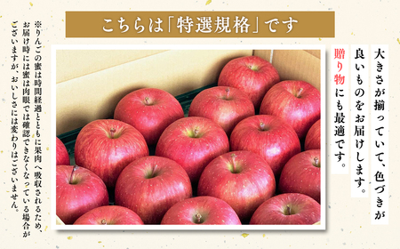 【レビューキャンペーン】２月発送 【特選】サンふじ5㎏【りんご・青森・平川・特選・宮川商店・２月】[hi-0054-003-2]