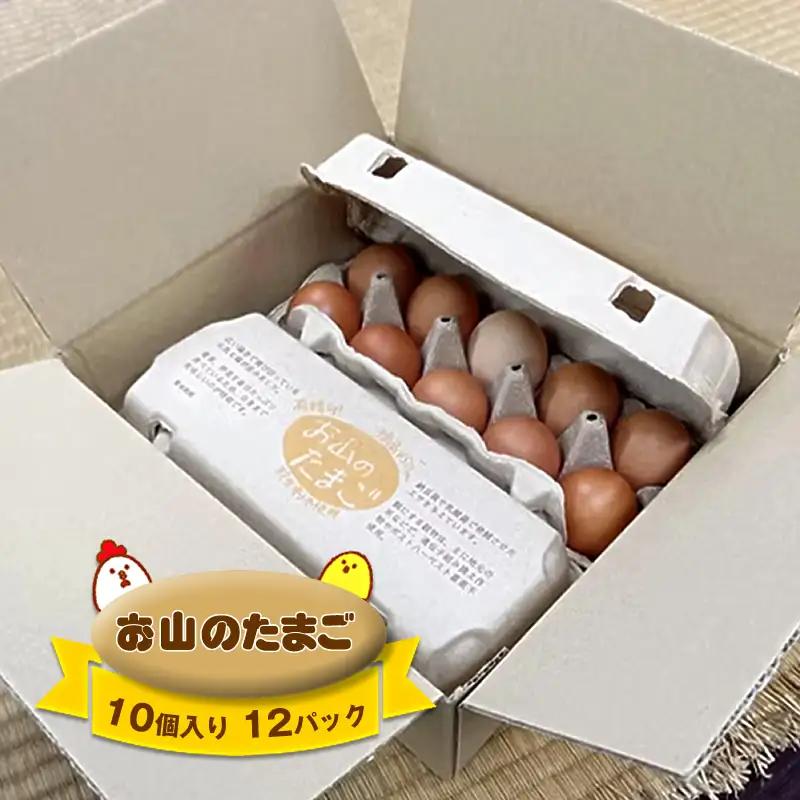 お山のたまご　１０個入り１２パック【 たまご 神奈川県 山北町 】