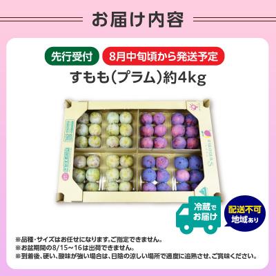ふるさと納税 大江町 《先行受付》すもも(プラム)約4kg 2種以上【2025年8月中旬頃〜発送予定】001-076 |  | 01