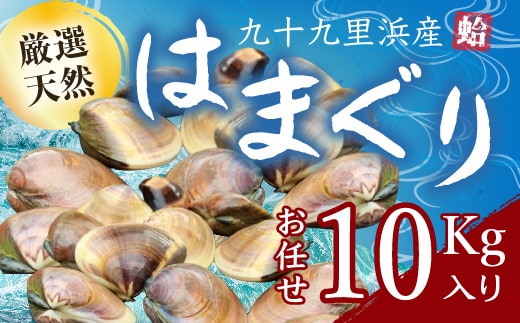 
										
										九十九里浜産活天然はまぐりサイズお任せ10kg入り SMBB004
									