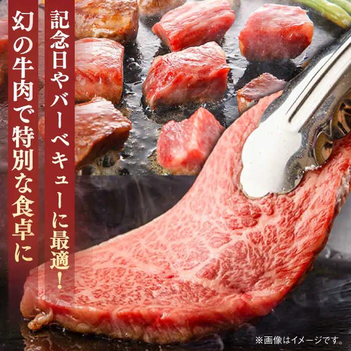 葉山牛 500g　サーロインステーキ ／ サーロイン [ASBD008]