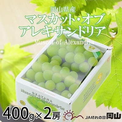 【2025年9月発送】岡山県産　マスカット・オブ・アレキサンドリア　400g×2房【配送不可地域：離島・北海道・沖縄】【1424549】