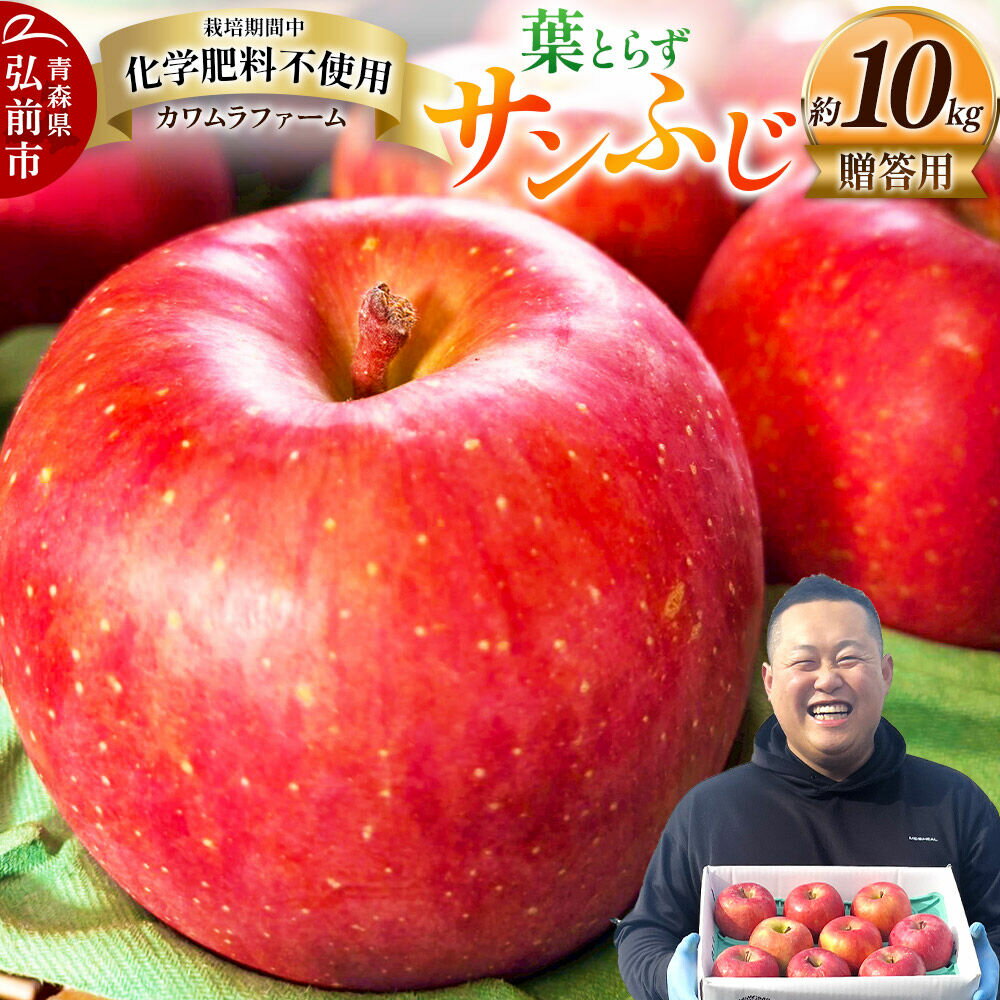 【ふるさと納税】【寄附金額見直しました】りんご 葉とらず サンふじ 約10kg カワムラファーム 贈答用 青森 果物 フルーツ 林檎 リンゴ くだもの