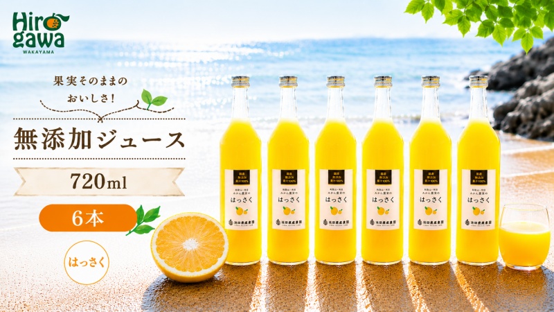 はっさく 100% ジュース / 八朔 ストレート 果汁 無添加 柑橘 和歌山 18000円 720ml ※北海道・沖縄・離島への配送不可 //drink 【ikd100-has720-6】
