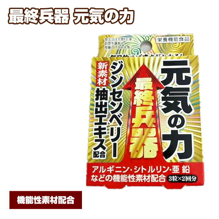 【ふるさと納税】No.312 最終兵器 元気の力 ／ サプリメント サプリ 送料無料 大阪府