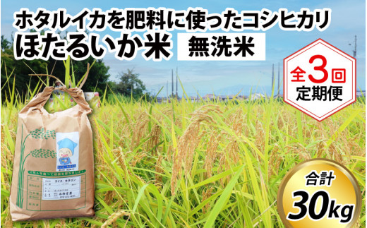 ほたるいか米（無洗米10kg）×3回 計30kg【3ヶ月定期便】