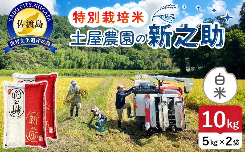 
                  佐渡島産 新之助 白米10kg（5kg×2袋）令和7年産 特別栽培米 単一原料米 土屋農園 | 新潟県産新之助 新潟産新之助 佐渡産新之助 しんのすけ 新之助 お米 米 白米 精米 ブランド米 おこめ コメ 10キロ 大粒 世界農業遺産 にいがた さど 新潟県 佐渡市
                