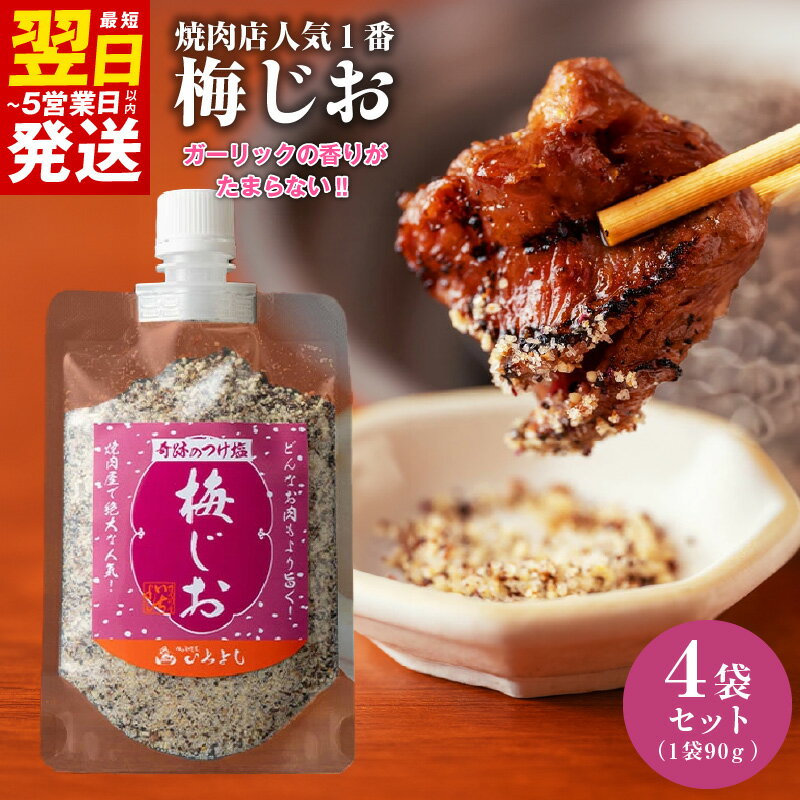 【ふるさと納税】焼き肉専門店 スパイス 梅じお ガーリック 90g×4袋 梅 うめ塩 お試し 調味料 つけ塩 簡単 人気 BBQ アウトドア 焼肉 やきにく 炒め物 キャンプ お取り寄せ グルメ さっぱり 料理 家庭用 最短 翌日発送 5営業日 大阪府 泉佐野市 送料無料