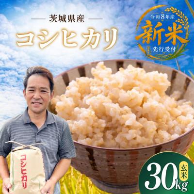 ふるさと納税 ひたちなか市 先行予約　令和8年　ひたちなか市産　コシヒカリ　玄米30kg(30kg×1袋)