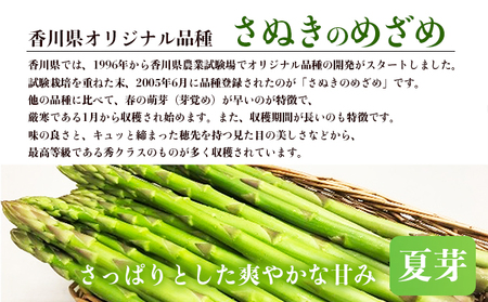 アスパラガス【さぬきのめざめ】夏芽Mサイズ900g グリーンアスパラガス 野菜 柔らかい シャキシャキ 旬の野菜 国産 食材 