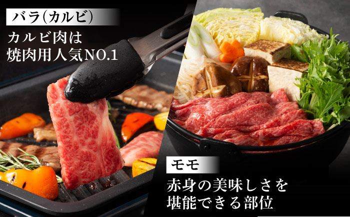 【全3回定期便】「熊本特産馬刺しとくまもと黒毛和牛」フジチクオリジナル贅沢食べ比べセット 3905【株式会社フジチク】 [BHAD051]