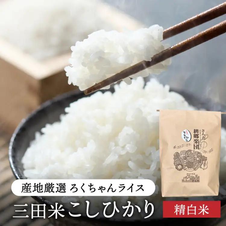 米 12回 定期便 令和8年 三田米 コシヒカリ 5kg