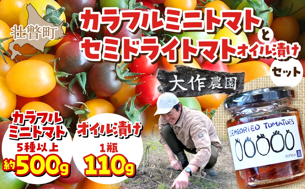 
                  <2026年7月上旬よりお届け>北海道壮瞥産 大作農園の「カラフルミニトマト」約500g（5種以上）とセミドライトマトオイル漬け1瓶（110g）のセット【 ふるさと納税 人気 おすすめ ランキング トマト とまと ミニトマト アイコ オイル漬け 野菜 甘い パスタ サラダ 北海道 壮瞥町 送料無料 】 SBTR008
                